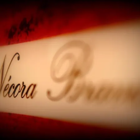 Apartaments La Reserva Premium Noja Zimmer foto